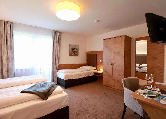 Hotel Hotel-restaurant Am Hochfuchs